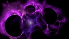 Purple_Web